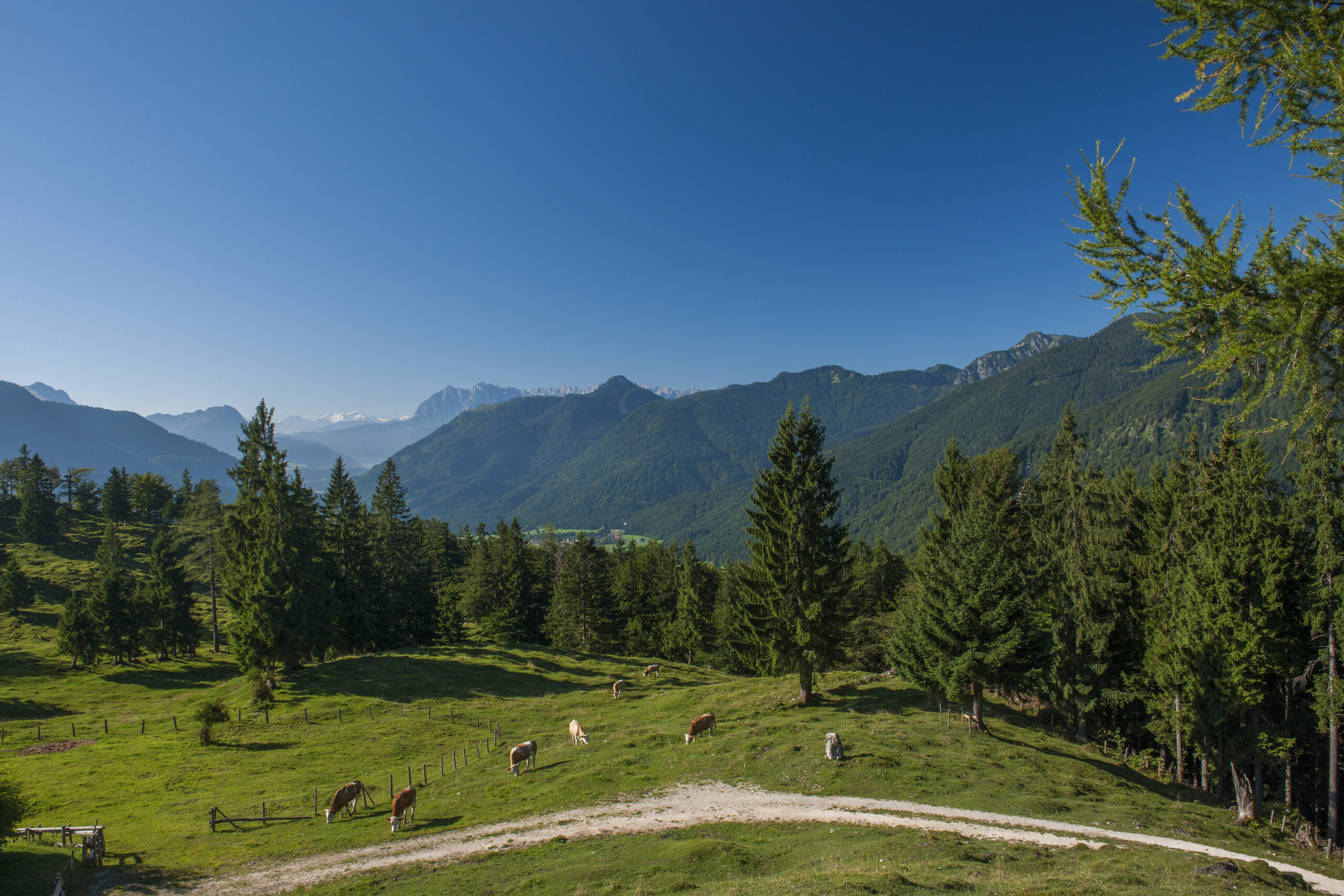 Chiemgauer Alpen